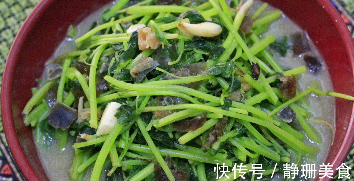 豌豆苗|豆苗5种最好吃的做法,每种都简单美味,看看你喜欢吃哪种?