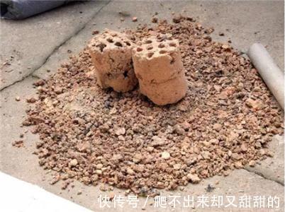 养花别买营养土了，4种废料掺和一起，养啥旺啥