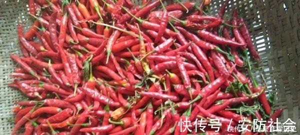 猕猴桃|胃不好的人,六种食物不要碰,你若一个不碰,说明胃病离你很远