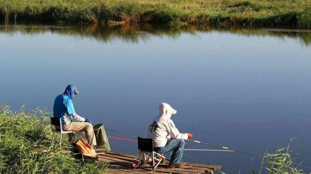 应对静海花园钓鱼比赛，教你野钓用饵硬技巧，让你更容易钓大鱼