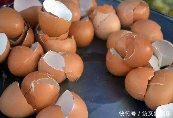 养蟹爪兰不开花往花盆里撒“2种废渣”，花芽长出来，开出花！