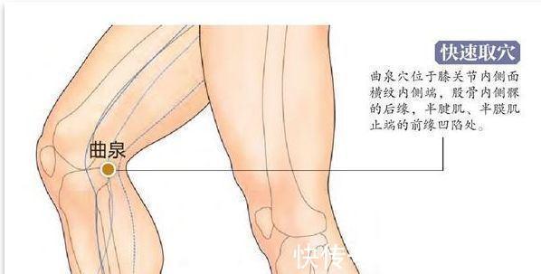 合穴|12合穴，为六腑打好基础，脏腑健康人才健康