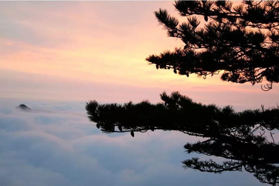 浪漫|江津石笋山，浪漫至极的“西部情山”！