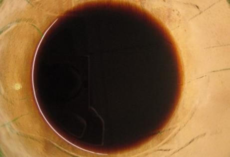 除夕年夜饭,这道凉拌菜要收好,清爽解腻更解馋,肠胃也舒服