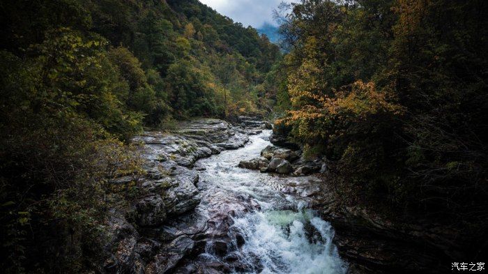 自然保护区|开着大唐去旅行——穿越太洋公路，赏黄柏塬醉美秋色（中篇）