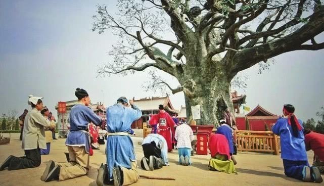 地方|我们祖先可能都来自一个地方:一棵大槐树下,812个姓氏大迁徙