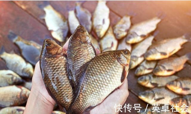 技巧|钓鱼高手不会告诉你的诱饵与技巧,小鱼不闹窝,大鱼全上钩!