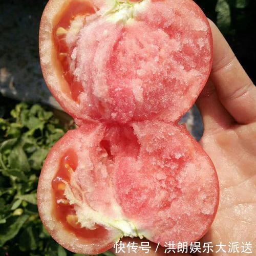 西红柿生吃和做熟吃的营养原来不一样!您平时喜欢生吃还是熟吃