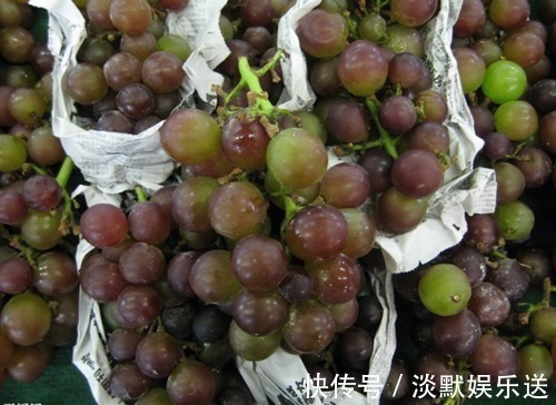 妈妈们|孩子在超市”品尝“葡萄,员工骂”没教养“,妈妈回答众人点赞