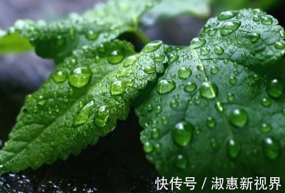 失眠|它是天然的安眠药,晚餐经常这样吃,提高睡眠质量,精神越来越好