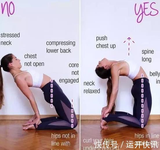 脊柱|瑜伽骆驼式,防备驼背,卓立身姿,你为何弯不下去?