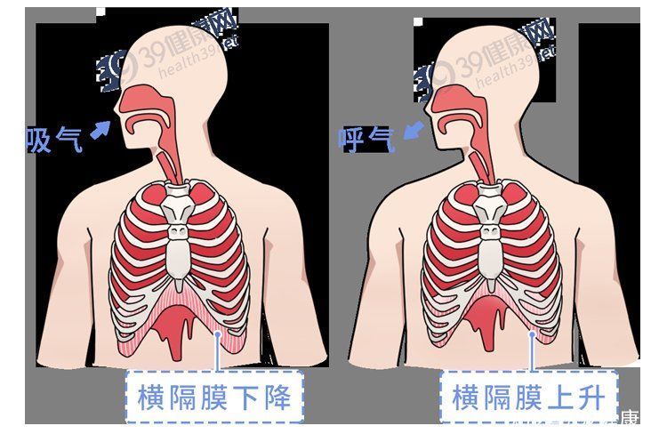 杨学宁|为什么中国肺癌患者越来越多？直言不讳：除了抽烟，还有5大诱因