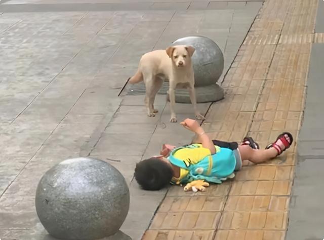 小情绪|“倔强母子”火了,大街上间隔三米僵持许久,网友:谁也不服谁