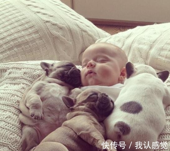 进化|乳头是男性身体上最没用的一个部位，它的作用是什么？