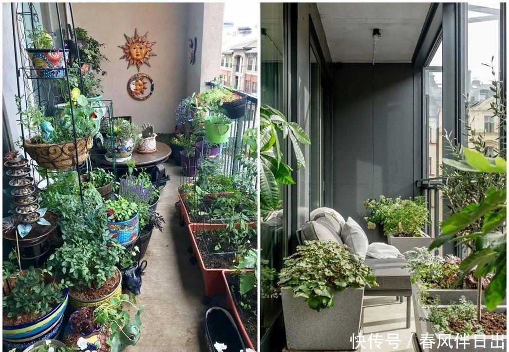 过上悠哉的小日子,不一定非要院子,有个阳台,一样可以养花种菜