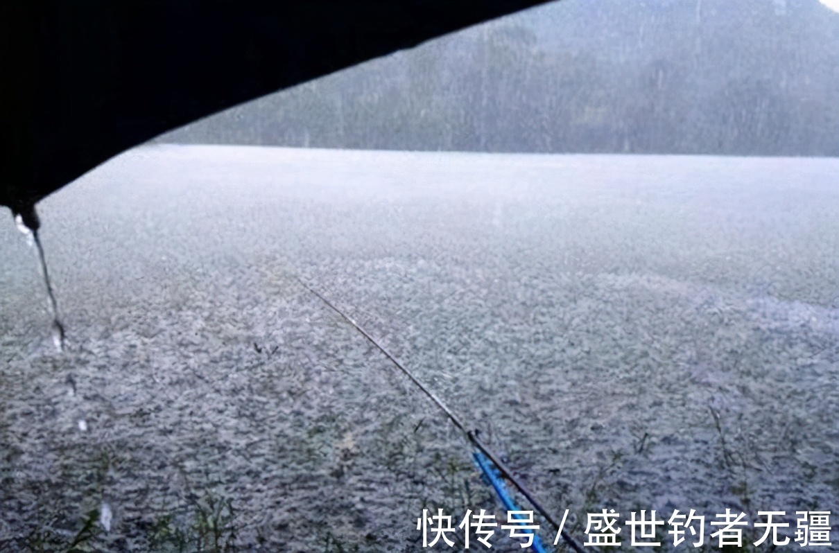 雷雨|想要下雨钓鱼不空军，就要搞明白什么叫下雨四不钓——盛世三渔