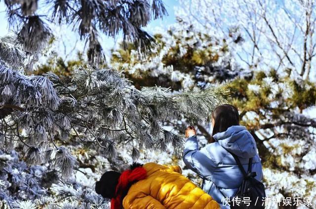 太美了！山东这个5A级景区，一到冬天色彩曼妙！快上车……