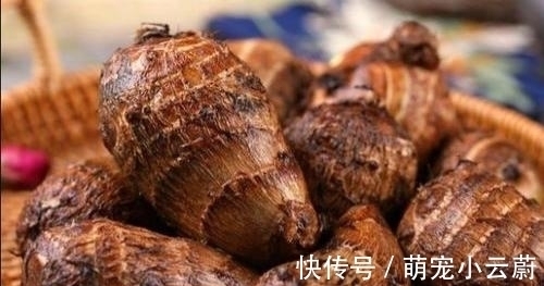 清洗干净|秋季健脾很重要,分享八种健脾的食物,多吃它们,顺利过秋季