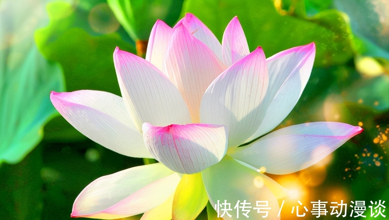 翰林学士!国学常用典故:八百孤寒和一饭千金是什么关系