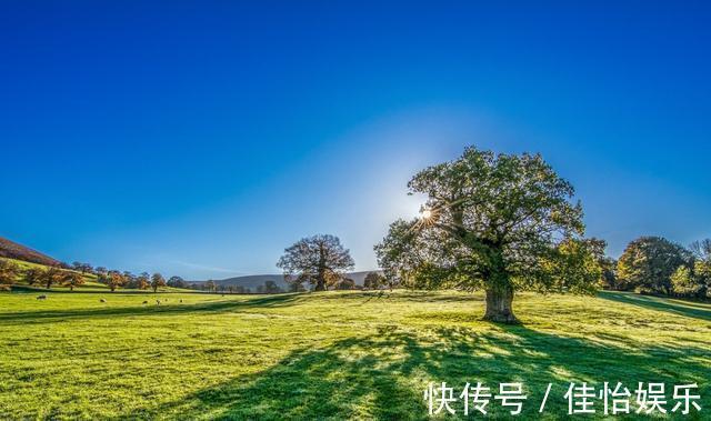 膻中穴|出现3个表现,说明你的身体气血不通,最好的疏通方法都在这里!