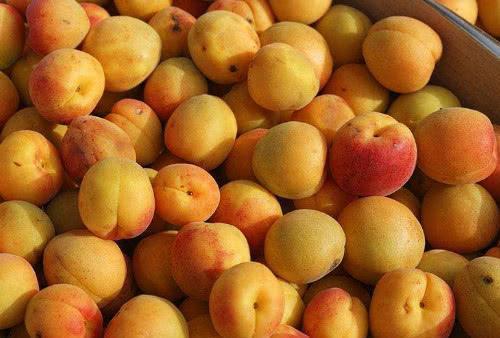 免疫系统|医生透露癌细胞特怕的几种食物,经常吃一点,癌症远离你