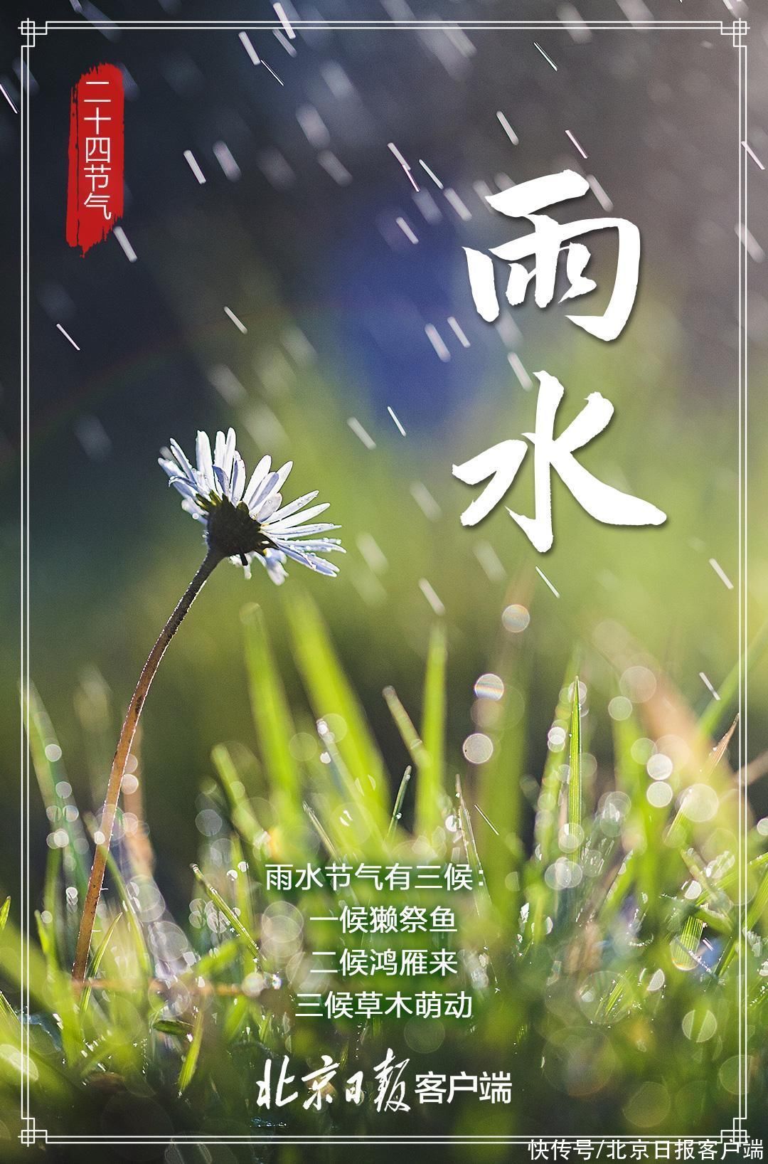 好雨知时节，当春乃发生，“雨水”来了