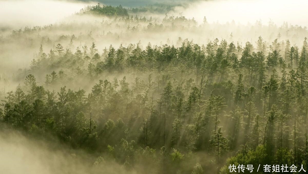 成大器|真正能成大器的人,都懂得韬光养晦