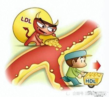  肥胖|降低甘油三酯，这几个快速方法能帮助，帮你快速改善身体