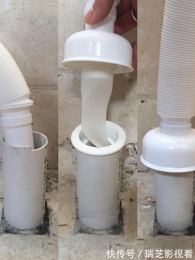 卫生间里的小飞虫是什么?只需三步,就能彻底杜绝