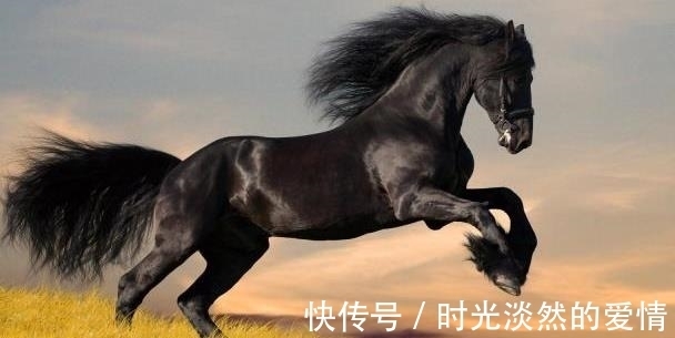 美好时光&千古绝对!上联:“墙上画马不能骑”,下联太经典了