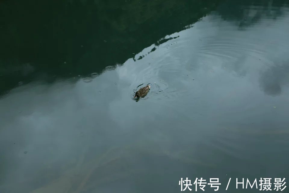 海子|神奇的人间天堂 九寨沟