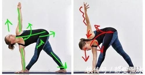 胸腔|为什么瑜伽练习不能照葫芦画瓢？看过这些图你就懂了…