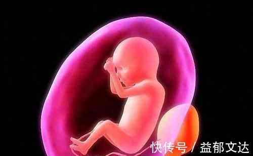 卵子|宝宝的性别是什么时候决定的,是受精时还是受精后呢