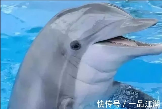 24个冷知识：生物老师看完直呼不可思议，但却真实存在的有趣知识