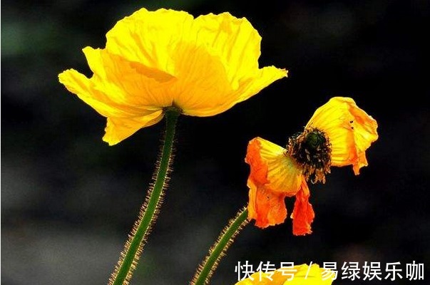 家庭$一个家庭出现这两种征兆,意味着要开始衰败了,真希望你能幸免!