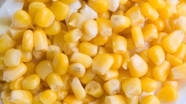 夏季玉米熟了,鲜美多汁;快试试用新鲜玉米钓大鱼