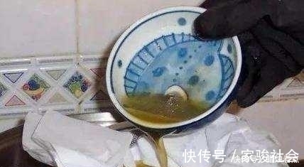 家养君子兰长势差?给它来一勺油,黄叶烂根通通不见了!