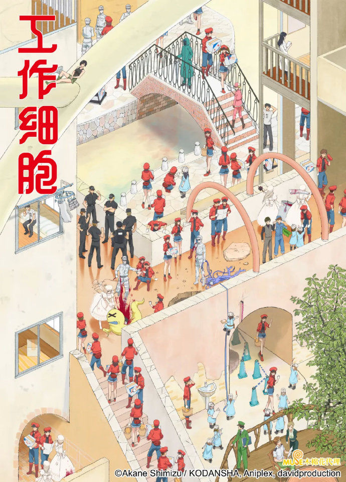 央视公开中配版《工作细胞》第二弹预告 2月13日播出