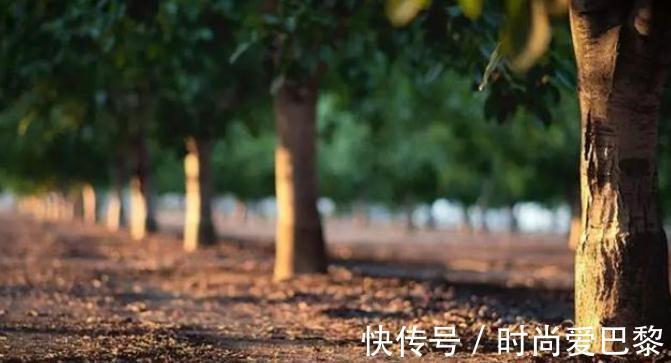 黄帝内经|人老了,不在于运动,不在于喝水,请重视这3条准则!