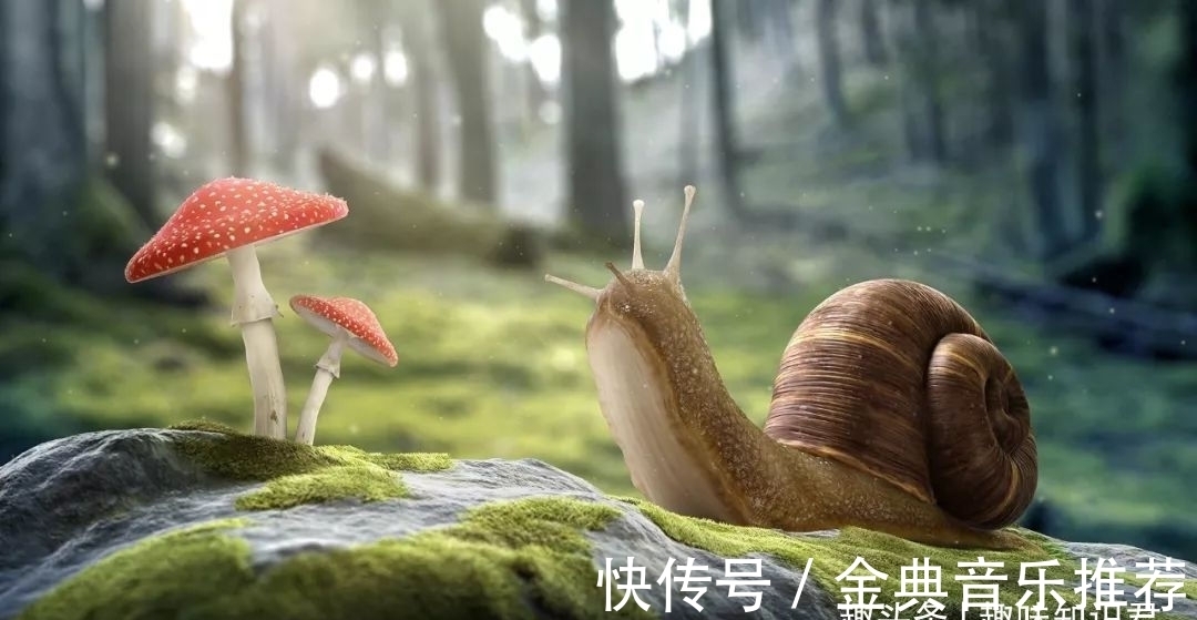 鲁迅|8条有趣的冷知识分享，奇怪的知识又增加了！