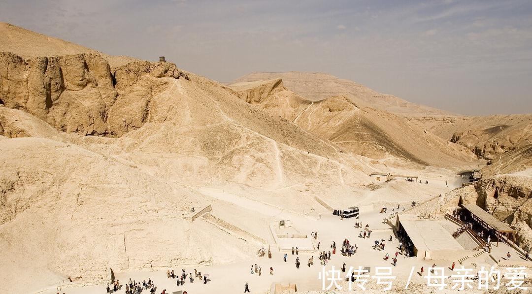 特征|哈佛教授发现:如果你家孩子有以下几种特征,很有可能是个天才