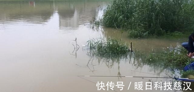 大板|夏季涨水钓浅滩,掌握这3个方法,钓到大板鲫不再难