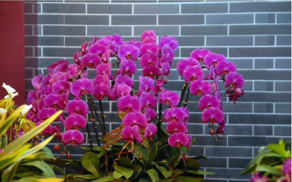 俗语“人怕腊月生,又怕腊月死”,为何这么说,有啥深层含义