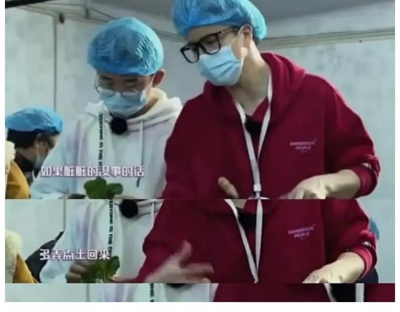 豆角|54岁那英做客《向往的生活》，连油菜豆角都分不清，真不接地气