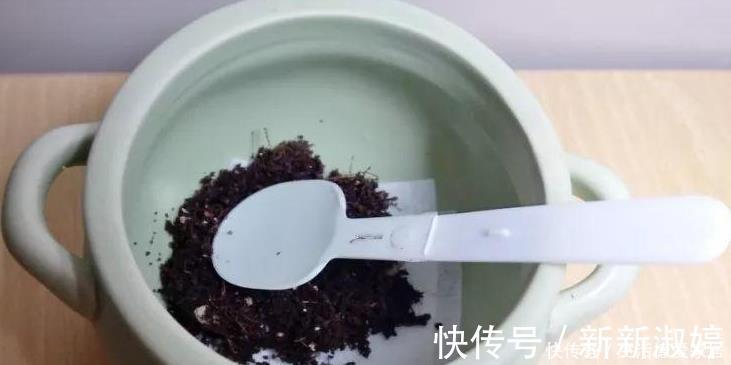 花盆里加点这个,不烂根不黄叶,轻松养满盆