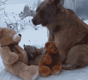 |搞笑GIF:你永远猜不到 美女的那些照片是怎么拍出来的