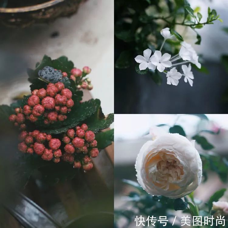 130㎡大露台，花1年改造成“花草蔬果园”，体验屋顶上的田园生活