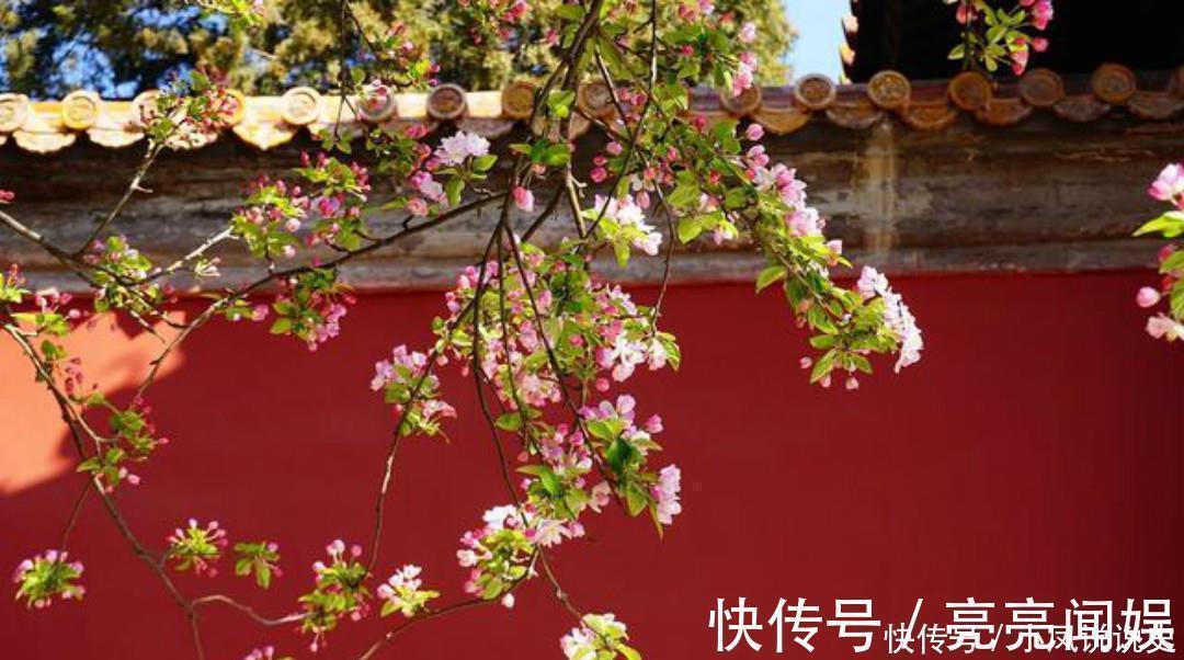 忧愁$岑参两首不可不读的经典,每一首都很孤独,写出了繁华过后的落寞