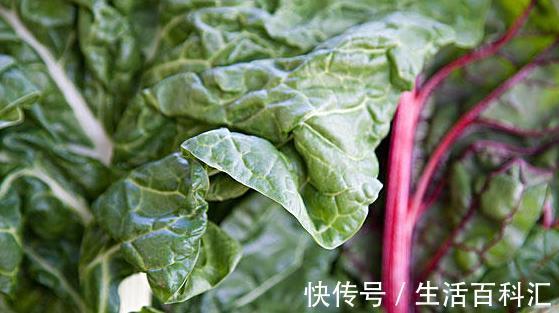 牛皮菜|女性不想老的快，学会多吃此菜，活血抗衰老，远离炎症更健康