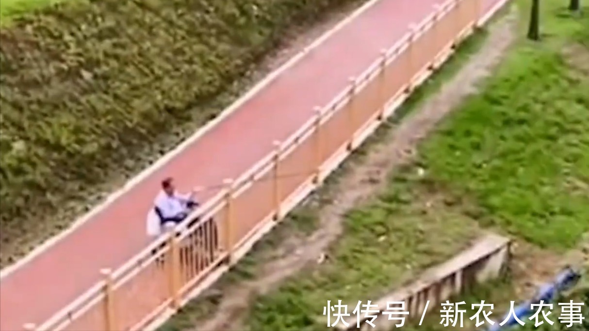 轮椅|钓鱼人!重庆一大爷坐轮椅在河边垂钓,下一秒中鱼竟自己站了起来